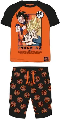 Produktbild von Dragon Ball Z Bekleidungsset für Jungen Shirt & Hose | Größe 146