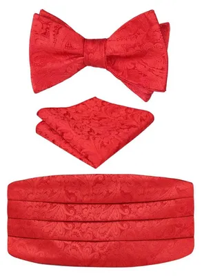 Produktbild von Herren Fliegen-Kummerbund-Pocket Square Set Paisley Rot Einheitsgröße Polyester