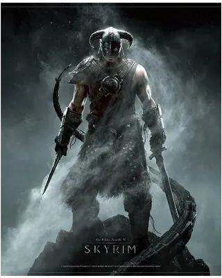 Produktbild von Skyrim - Wallscroll / Wandposter, Dragonborn