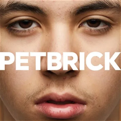 Immagine prodotto di Petbrick ? In vinile