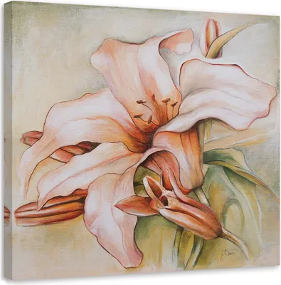 Produktbild von Leinwandbild seerose und knospen 50x50 cm Feeby rosa wandbild bereit zum aufhängen