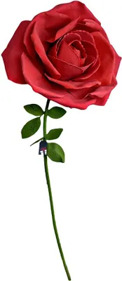 Produktbild von Ewige Rose, riesig, 160 cm, Geschenk für eine Frau, für Ihre Frau zum Valentinstag
