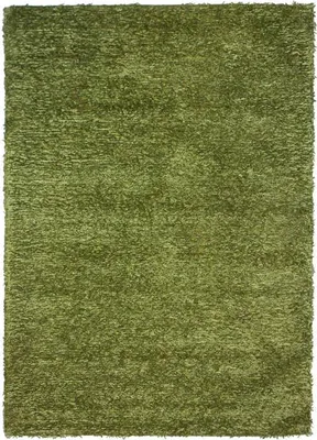 Produktbild von Teppich mit langem, seidig weichem Flor, grün, 160x230 cm