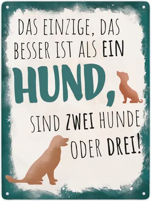 Produktbild von Lustiger Spruch für Hundebesitzer Metallschild XXL in 28x38 cm