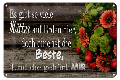 Produktbild von Blechschild Spruch 30x20cm es gibt viele Mütter doch eine