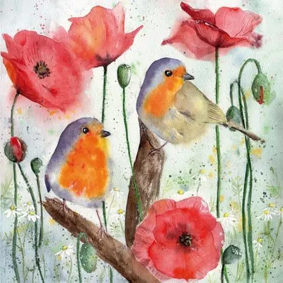 Produktbild von Servietten Papier 33x33cm 3-lagig Rotkehlchen und Mohnblumen 20 Stück