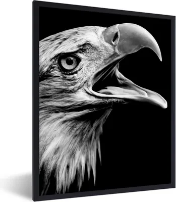 Produktbild von MuchoWow® Gerahmtes Poster Adler - Porträt - Raubvögel - Schwarz - Weiß - Vogel 60x80 cm - Poster mit Schwarzem Bilderrahmen Wandposter Rahmen Foto Bilder - Premium - Wanddeko Wohnzimmer