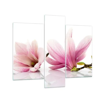 Produktbild von Bilder auf glas - Magnolie blume natur pflanze - 95x80cm - Glasbilder - Wandbilder - Kunstdruck - zum Aufhängen bereit - Wanddekoration aus Glas - Glas Bilder - Wandbild auf Glas - GCB95x80-2641