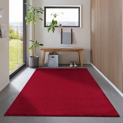 Produktbild von Carpetsale24 Teppich Wohnzimmer Kurzflor Uni Design, Pflegeleicht & Modern, Für Schlafzimmer Flur, Größe 140x200 cm
