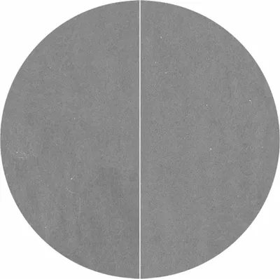 Produktbild von vidaXL Pool-Bodentuch Hellgrau Ø244 cm Polyester Geotextil