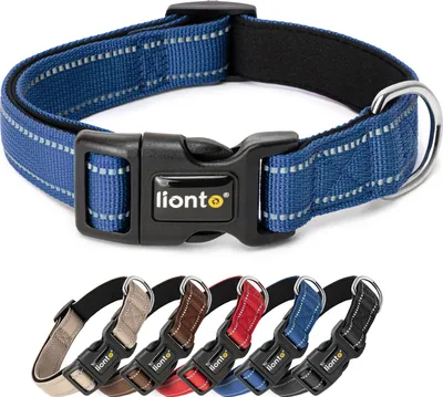 Produktbild von lionto Hundehalsband reflektierend, gepolstert & verstellbar aus Nylon und Neopren, (XS) verstellbare Länge 20-30 cm, blau
