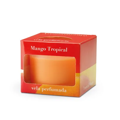 Produktbild von KERZE Duftkerze Sojawachs Deko Kerze CERERIA MOLLA CORDOBA MANGO