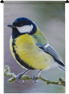 Produktbild von MuchoWow® Wandteppich Wandbehang Kohlmeise - Vogel - Zweig 90x135 cm Tapisserie Dekoration Wandtuch - Baumwolle - Wandskulptur