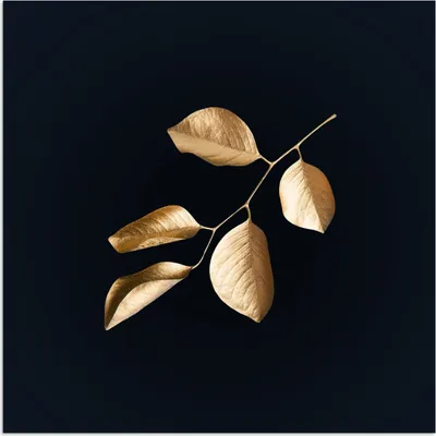 Produktbild von MuchoWow® Poster Blätter - Zweig - Gold - Luxus 50x50 cm - Wohnzimmerdekoration