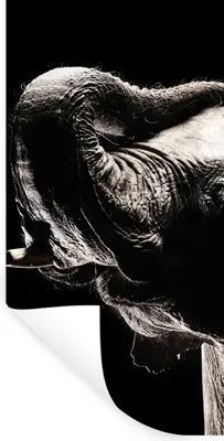 Produktbild von MuchoWow® Wandtattoo Wandsticker Wandaufkleber Elefant - Schwarz - Tiere - Porträt 60x120 cm Selbstklebend und Repositionierbar - Selbstklebend - Fototapeten