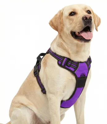 Produktbild von Hundegeschirr für große Hunde, verstellbar mit Handgriff und reflektierenden Streifen