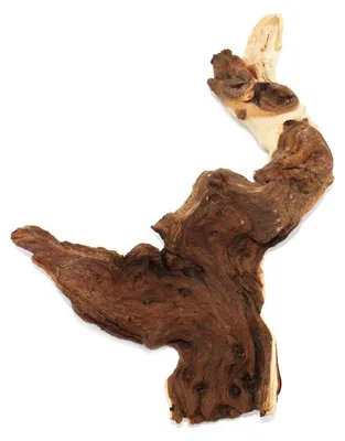 Produktbild von Wurzelholz Mopanieholz 18-22 cm naturgewachsen hohes Eigengewicht für Aquarium Terrarium