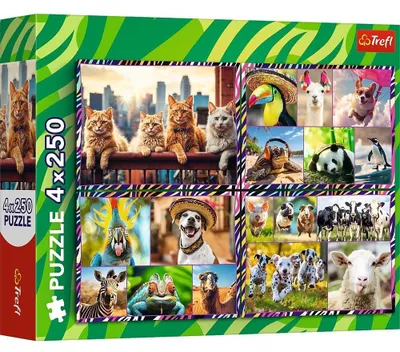 Zdjęcie produktu dla Trefl Puzzle 4 x 250 el. Zabawne zwierzaki, 250 szt., Animals, 7 lat(a)