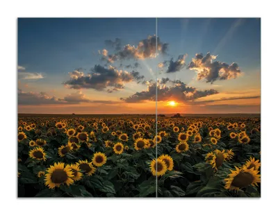 Produktbild von Wallario Herdabdeckplatte aus Glas, Größe 70 x 52 cm 2-teilig, Motiv Sonnenblumenwiese vor Wolken mit Sonnenuntergang