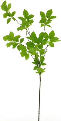 Produktbild von artplants.de Künstlicher Apfelbaumzweig SHUYI, grün, 130 cm - Künstlicher Blätterzweig