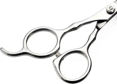 Produktbild von Tierpflegeschere 45 Zoll Edelstahl Sicherheitsrundung