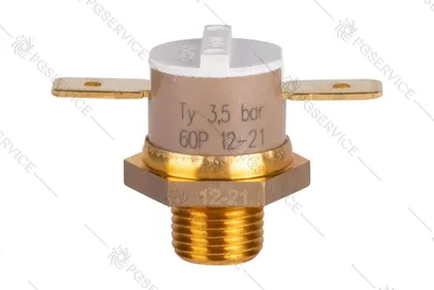 Image de Capteur de pression Polti CAMPINI Ty60 3,5 bars 60P pour Vaporetto Smart 100B, 100T et 120