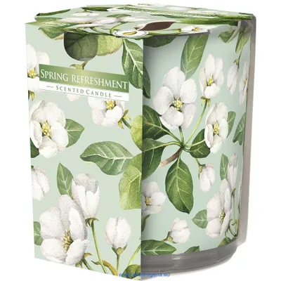 Image de Bougie parfumée Bispol en verre Fraîcheur printanière SN72S-40