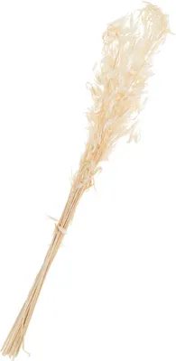Produktbild von Wildhafer gebleicht, ca. 25 g, L ca. 70 cm
