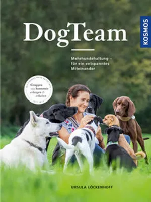 Image de DogTeam