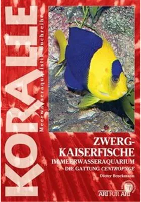 Image de Zwergkaiserfische im Meerwasseraquarium