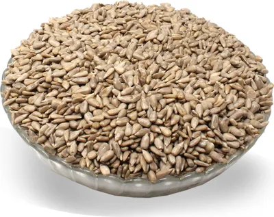 Produktbild von LanDixx Sonnenblumenkerne geschält 2 kg Vogelfutter Wildvögel Winterfutter Vogelfreund