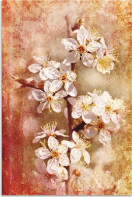 Produktbild von ARTland Wandbild Alu für Innen & Outdoor Kirschblüten Größe: 20x30 cm