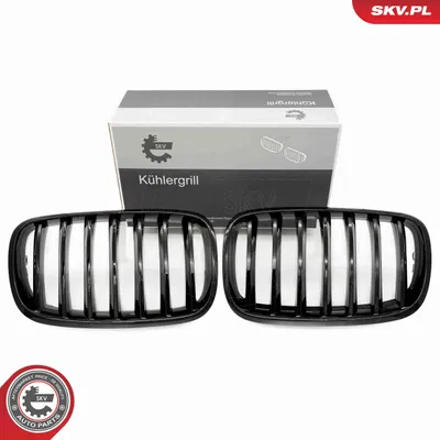 Image de Grille de calandre BMW X5 E70 simple, noir brillant