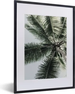 Produktbild von MuchoWow® Gerahmtes Poster Palme - Tropisch - Sommer 30x40 cm - Poster mit Schwarzem Bilderrahmen Wandposter Rahmen Foto Bilder - Wandposter Schlafzimmer