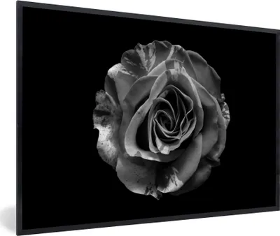 Produktbild von MuchoWow® Gerahmtes Poster Blumen - Rose - Schwarz - Weiß - Botanisch 90x60 cm - Poster mit Schwarzem Bilderrahmen Wandposter Rahmen Foto Bilder - Fotorahmen - Foto-Plakat