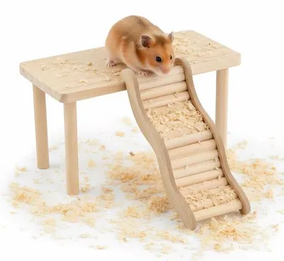 Produktbild von Tagesgut - Hamaste Plattform mit Kletterleiter, Hamsterplattform Kletterplattform mit Hamsterleiter, Käfigplattform Holzhamster, Kletterleiter, Holzplattform für Hamster (M)