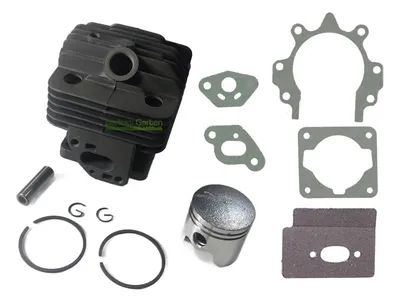 A collection of engine parts, including a cylinder, piston, rings, and gaskets, laid out on a white background.
