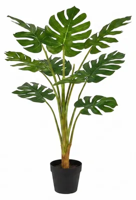 Produktbild von Künstliche Pflanze, Monstera, 110 cm
