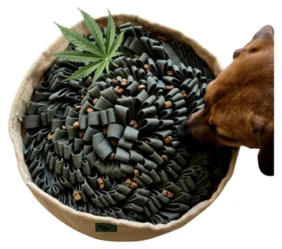 Produktbild von Schnüffelteppich aus Hanf für Hunde | 100 % pflanzlich (82 % Hanf, 18 % Baumwolle) | Robust und nachhaltig | Nasenarbeit, Stressabbau und Intelligenzspielzeug für Hunde