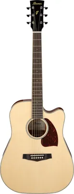 Produktbild von Ibanez PF16WCE-NT