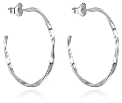 Image de Boucles d'oreilles rondes élégantes en argent AGUP2671