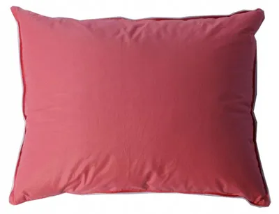 Produktbild von LechPol Daunenkissen 70x80cm Gänsefeder weich Baumwolle