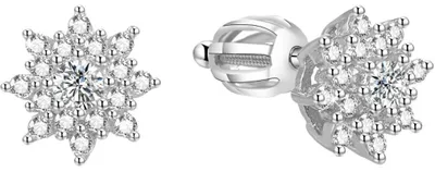 Produktbild von Silberne glitzernde Ohrringe fü r AGUP1442S
