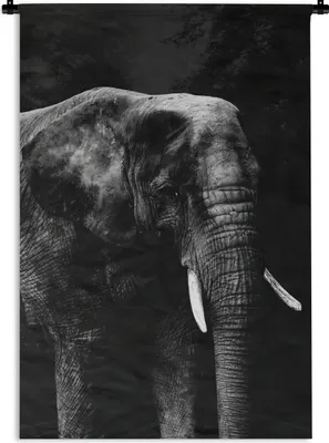 Produktbild von MuchoWow® Wandteppich Wandbehang Elefant auf schwarzem Hintergrund - schwarz und weiß 90x135 cm Tapisserie Dekoration Wandtuch - Baumwolle - Wandskulptur