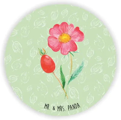 Produktbild von Mr. & Mrs. Panda magnet Blume Hagebutte - Blattgrün - Geschenk, für kühlschrank, magnettafel, Garten, fotos, whiteboardmagnet, Lebensfreude, Kühlschrankmagnet