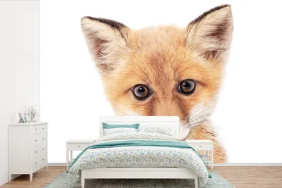 Produktbild von MuchoWow® Fototapete für Wohnzimmer oder Schlafzimmer Wandtapete Vinyl Motivtapete Fuchs - Tiere - Orange - Natur - 600x400 cm - Vinyltapeten