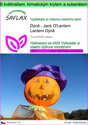 Obrázek produktu pro SAFLAX Garden to go - Dýně - Jack O'Lantern Lantern Dýně - Cucurbita pepo - 10 Semena - S květináčem, klimatickou poklicí a pěstebním substrátem