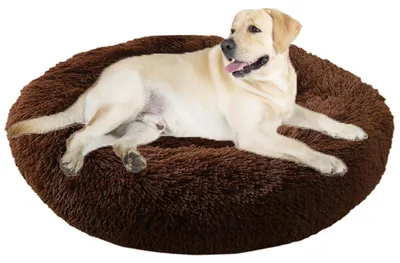 Obrázok produktu pre Posteľ pre psa, posteľ pre mačku, okrúhly tvar "donut", priemer 60 cm, farba: káva, umývateľná, jemná a nadýchaná
