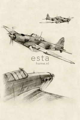 Immagine prodotto di ESTAhome fotomurale schizzi di aeroplani beige e grigio 186 x 279 cm