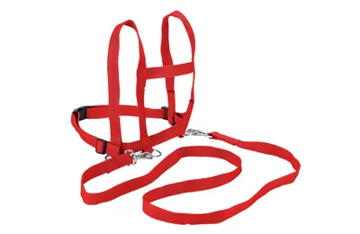 Produktbild von Spielzeug-Pferdeleine aus Nylon, rot, 1 m, mit Schnellverschluss und Karabinerhaken